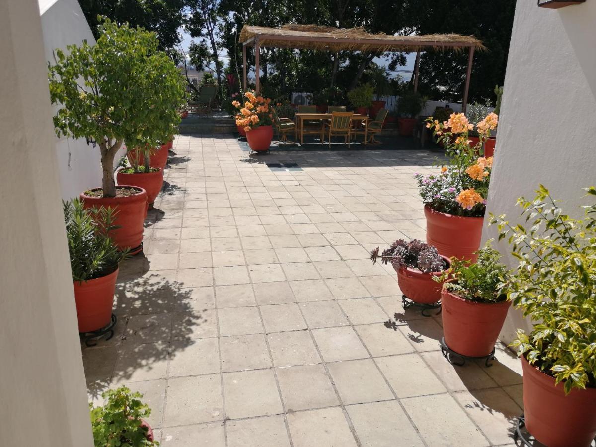 Hotel Aitana Oaxaca מראה חיצוני תמונה