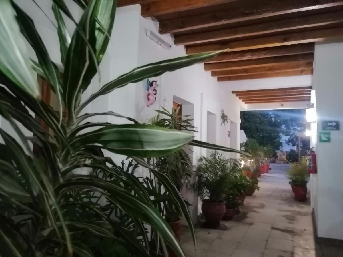 Hotel Aitana Oaxaca מראה חיצוני תמונה