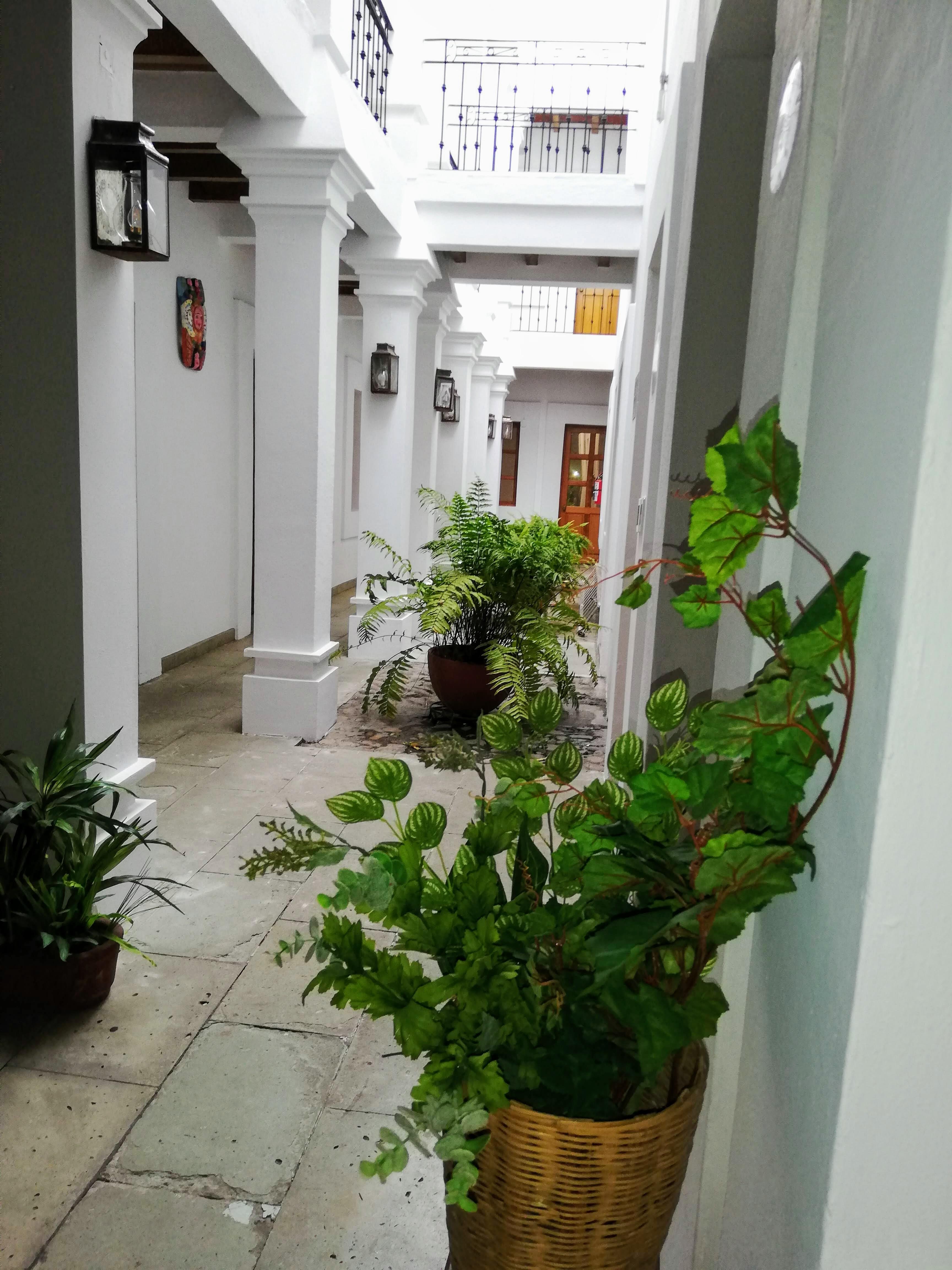 Hotel Aitana Oaxaca מראה חיצוני תמונה