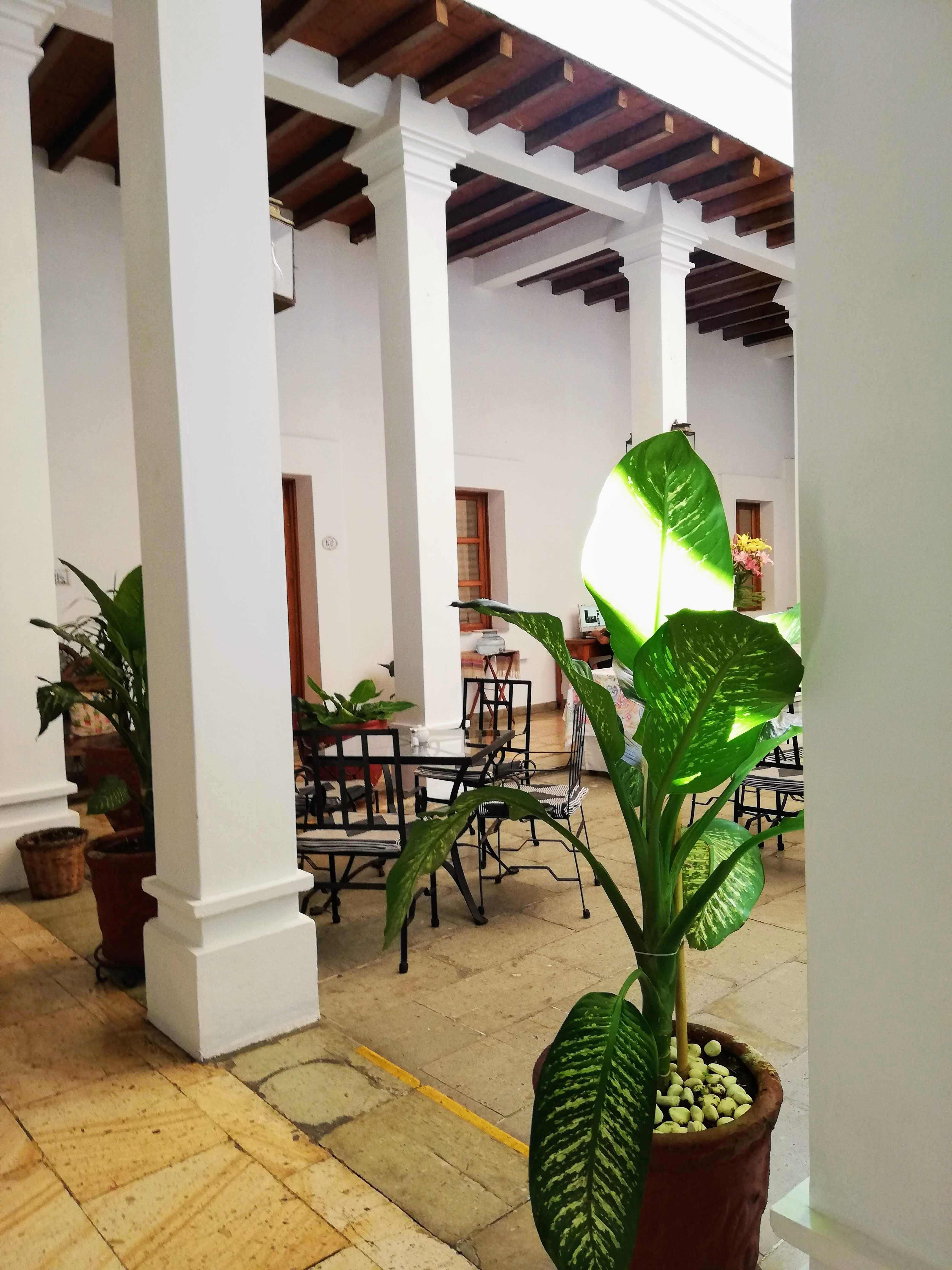 Hotel Aitana Oaxaca מראה חיצוני תמונה